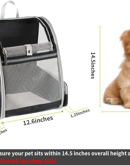 Cargar imagen en el visor de la galería, Pet Backpack Carrier for Small Cats Dogs | Ventilated Design, Safety Straps, Buckle Support, Collapsible | Designed for Travel, Hiking, Walking &amp; Outdoor Use
