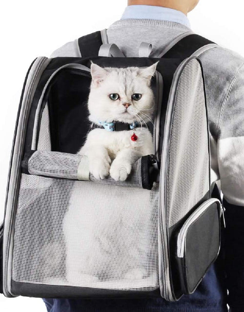 Cargar imagen en el visor de la galería, Pet Backpack Carrier for Small Cats Dogs | Ventilated Design, Safety Straps, Buckle Support, Collapsible | Designed for Travel, Hiking, Walking &amp; Outdoor Use
