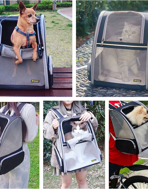 Cargar imagen en el visor de la galería, Pet Backpack Carrier for Small Cats Dogs | Ventilated Design, Safety Straps, Buckle Support, Collapsible | Designed for Travel, Hiking, Walking &amp; Outdoor Use
