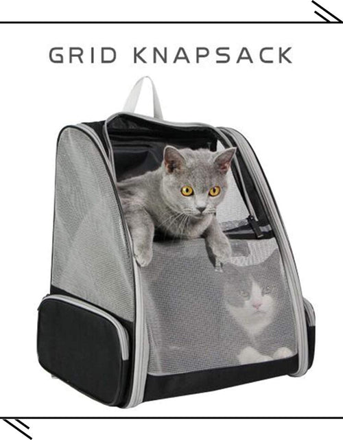 Cargar imagen en el visor de la galería, Pet Backpack Carrier for Small Cats Dogs | Ventilated Design, Safety Straps, Buckle Support, Collapsible | Designed for Travel, Hiking, Walking &amp; Outdoor Use
